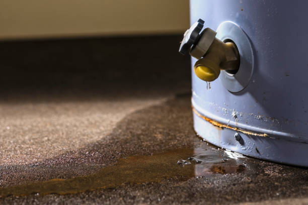 Best Water damage cleanup near me  in Edgewood, OH