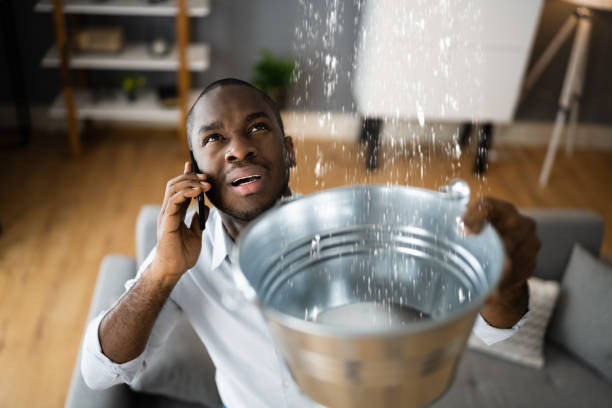 Best Water damage restoration near me  in Edgewood, OH