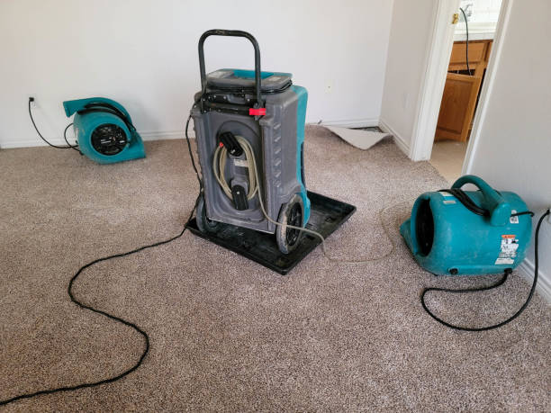 Best 24/7 water damage repair  in Edgewood, OH
