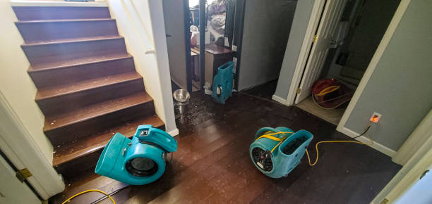 Best Basement water damage restoration  in Edgewood, OH