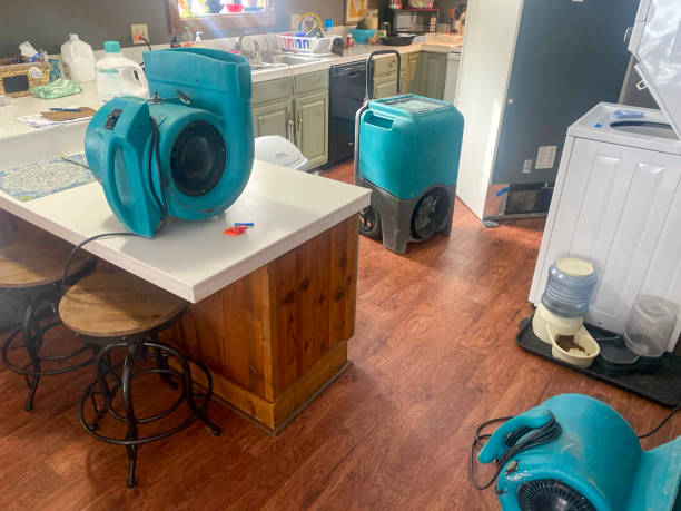 Water damage restoration insurance claims in Edgewood, OH