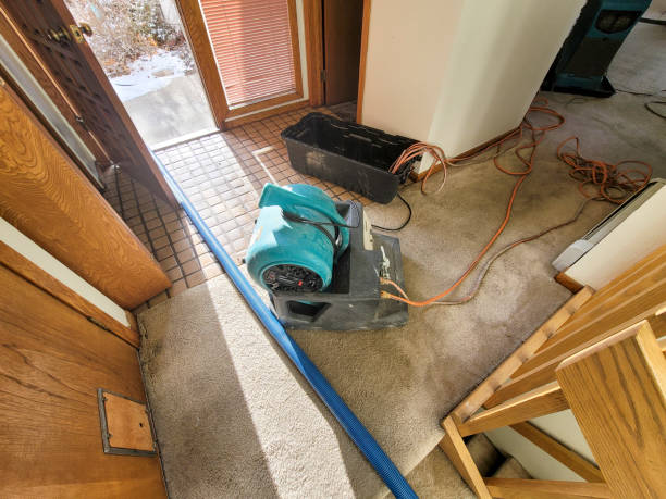 Best Water damage restoration experts  in Edgewood, OH