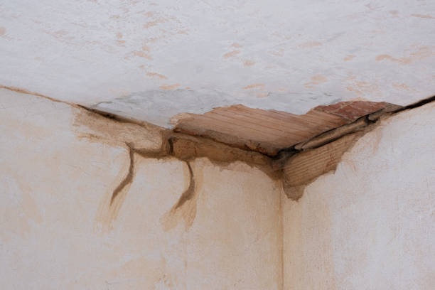 Best Water damage restoration near me  in Edgewood, OH