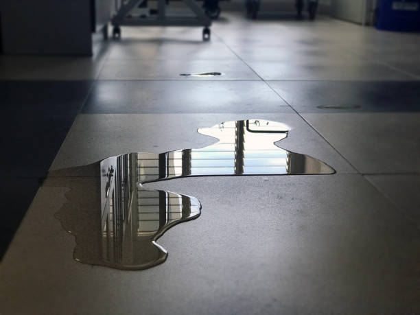Best Water damage restoration cost  in Edgewood, OH