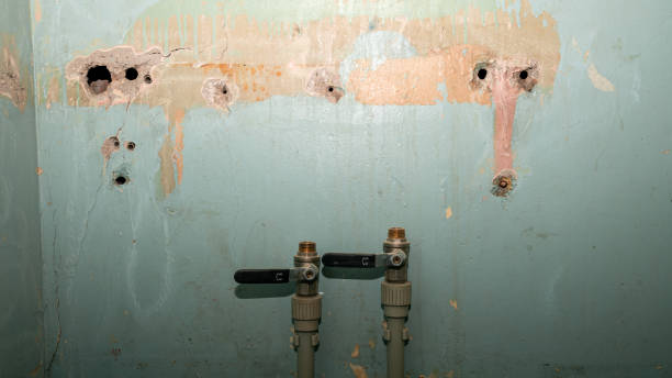  Edgewood, OH Water damage restoration Pros