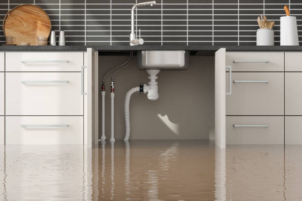Best Sewage cleanup and water damage restoration  in Edgewood, OH