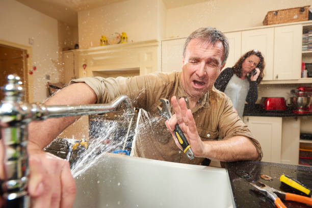 Best Water damage restoration insurance claims  in Edgewood, OH